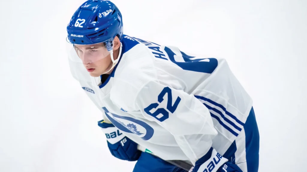 Scouting Report: What you need to know about new Leafs signing Luke Haymes