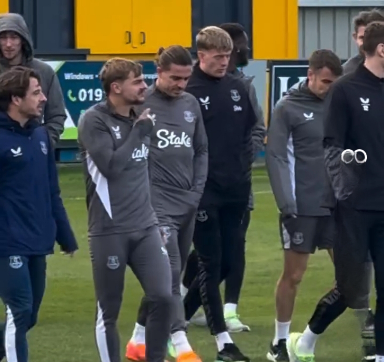 MOYES CONFIRMS FRESH INJURY NIGHTMARE: EVERTON’S CRUCIAL PAIR COULD MISS REST OF CAMPAIGN